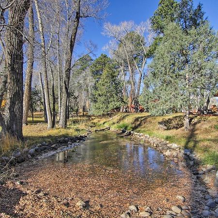Cozy Colorado Cabin With Deck, Grill And River Access! Buena Vista Bagian luar foto