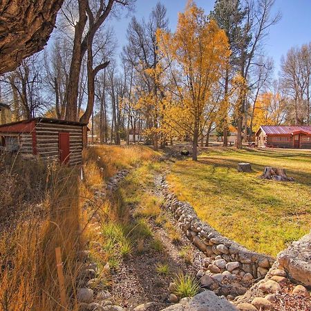 Cozy Colorado Cabin With Deck, Grill And River Access! Buena Vista Bagian luar foto