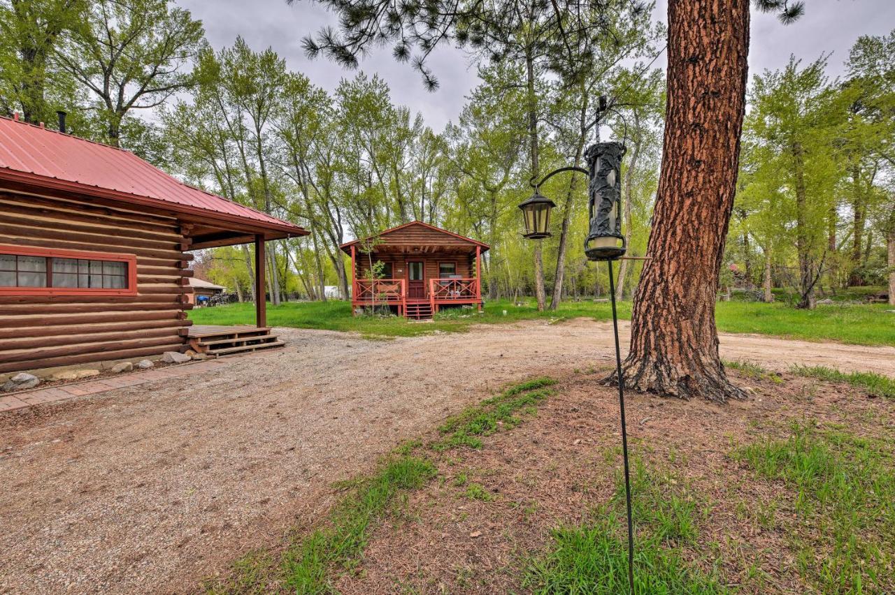 Cozy Colorado Cabin With Deck, Grill And River Access! Buena Vista Bagian luar foto