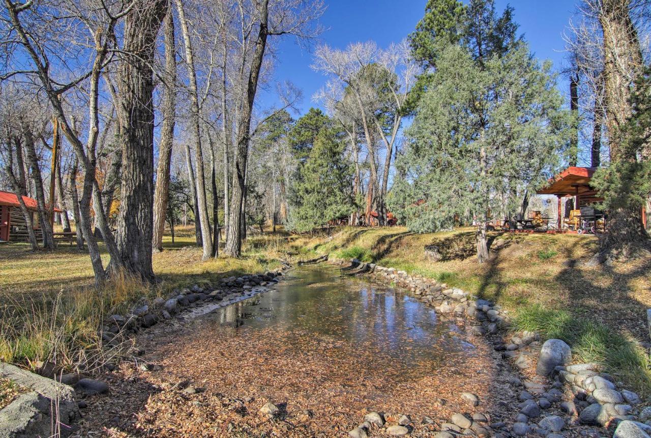 Cozy Colorado Cabin With Deck, Grill And River Access! Buena Vista Bagian luar foto